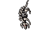 Skeletons